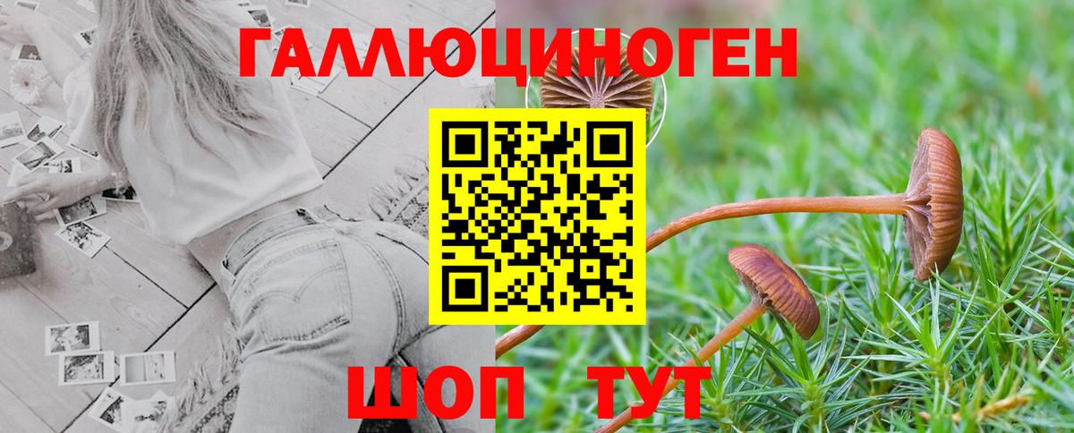 Псилоцибиновые грибы GOLDEN TEACHER Кандалакша